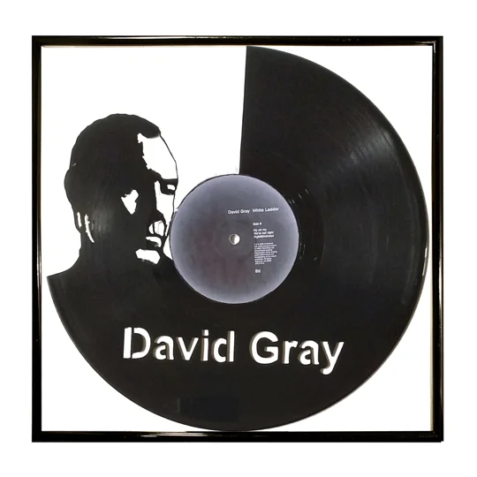 David Gray Portrait Vinyl Record Cut-Out