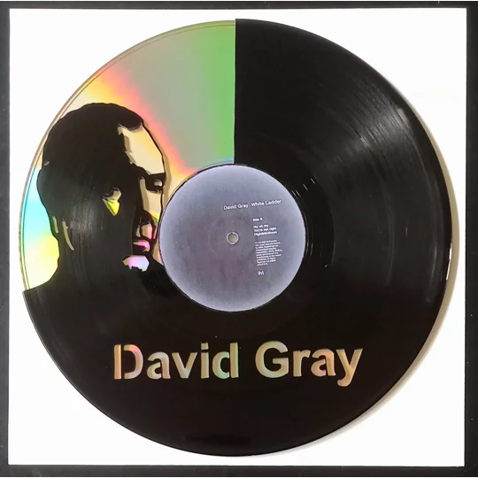 David Gray Portrait Vinyl Record Cut-Out Plus DVD background in frame
