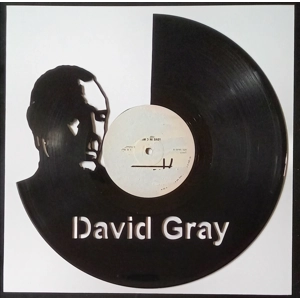 David Gray Portrait Vinyl Record Cut-Out