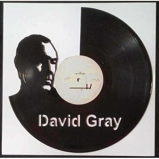 David Gray Portrait Vinyl Record Cut-Out