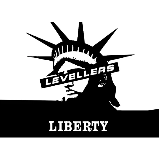 Levellers Record Wall Decoration Artwork image from vinyl