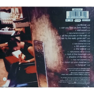 Paul Weller Wild Wood CD