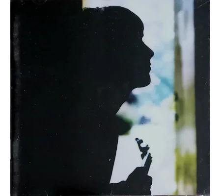 Paul Weller Wild Wood CD