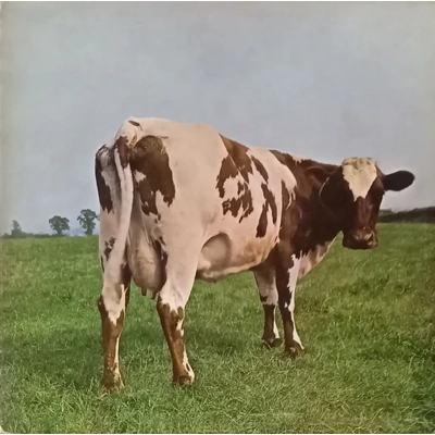 Pink Floyd - Atom Heart..