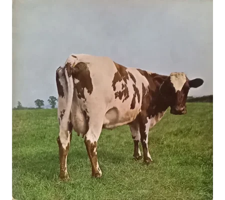 Pink Floyd - Atom Heart Mother