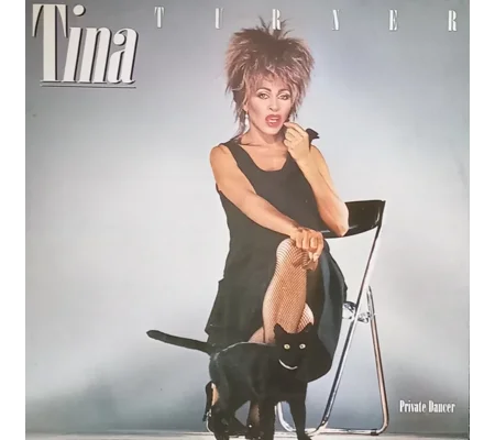 Tina Turner - Private Dance