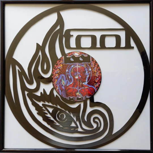 Tool Logo Art on Vinyl Record original photo