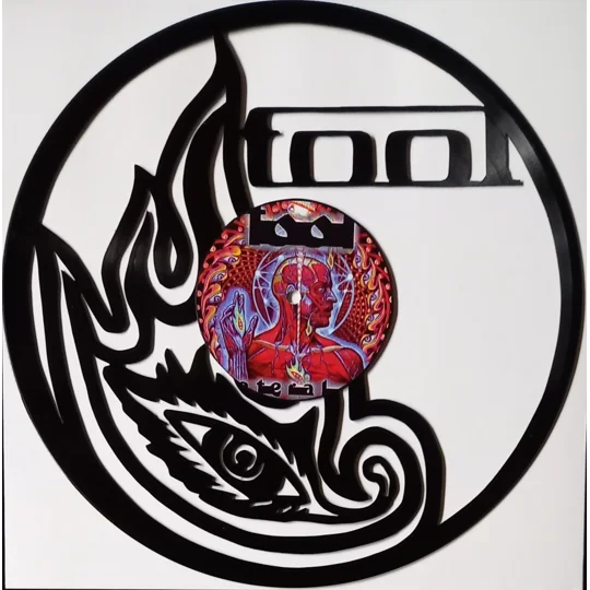Tool Logo Art on Vinyl Record original photo of artwork only