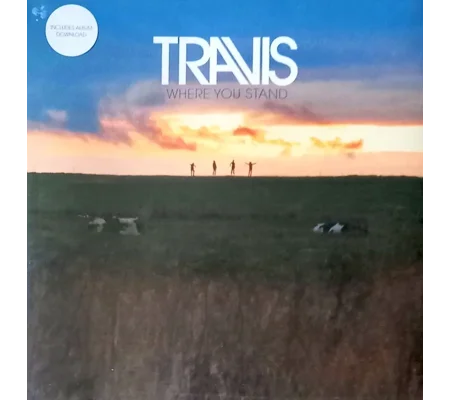 Travis - Where You Stand