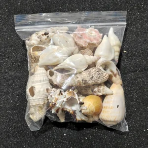 250g Broken Shell Selection