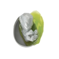 90's- Alien Egg - With slime/goo
