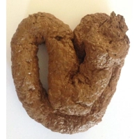 Fake Poo- Best Quality - Poo Joke Prank Gag Gross Poop TURD EU MADE