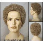 Garfunkel Human Hair Man's Wig