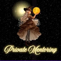 Private Mentoring per hour