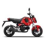 Headlight Fairing Surround (GLOSS BLACK)