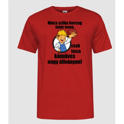 Nincsen szőke herceg... férfi póló Nincsen szőke herceg... férfi póló