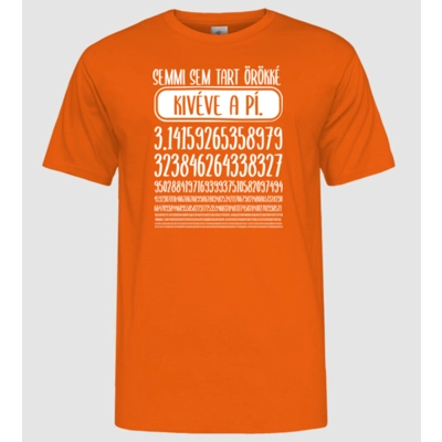 Pí értéke örökké tart.. férfi póló
