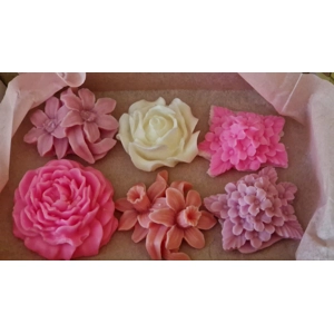 Harmony Infusions Colle..