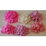 Harmony Infusions Collection