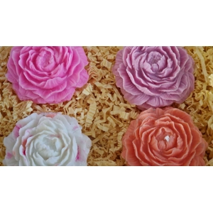 Blossoming Tranquility: Esse..