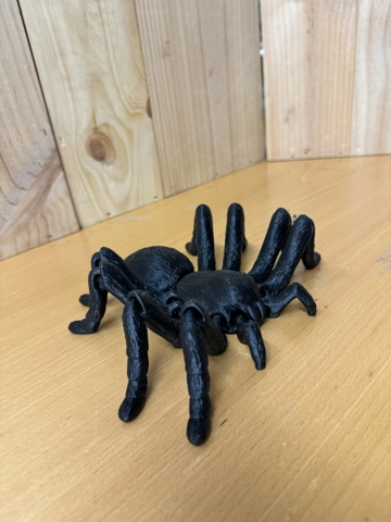 Tarantula með liðamótum