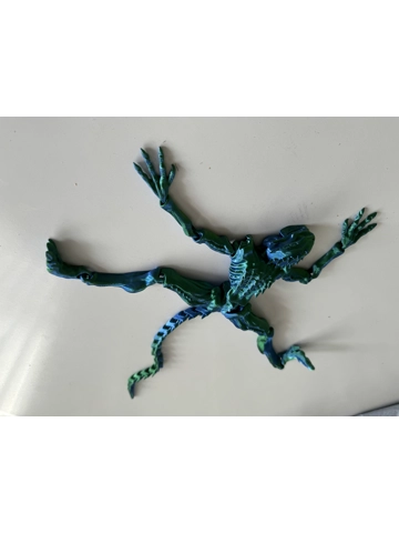 Geimvera með liðamótum