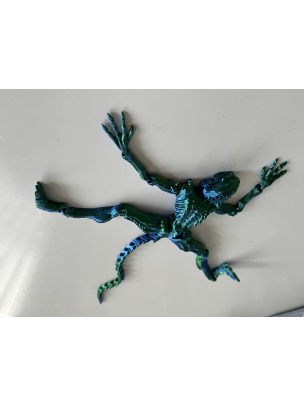 Geimvera með liðamótum