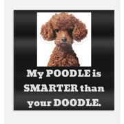 Car Window Decal Poodle