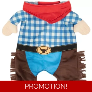 Party Dog Multicolored Cowboy With Arms Costume Set