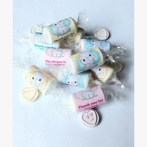 Baby shower sweets elephant theme