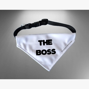 Personalised dog bandana with collar