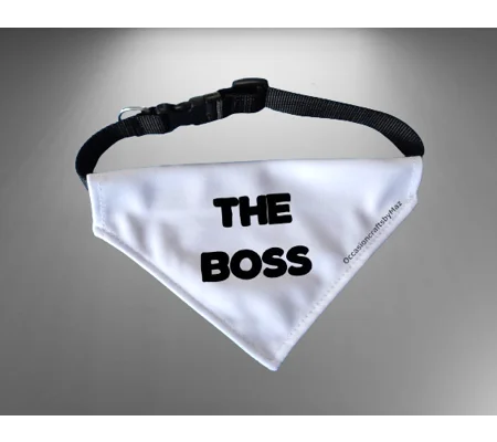 Personalised dog bandana with collar