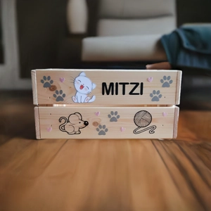 Cat toy box, cat treat box