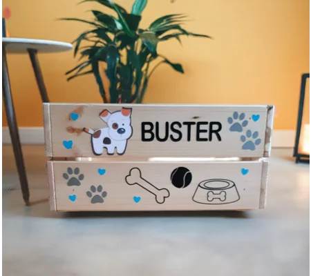 Dog toy and treat box