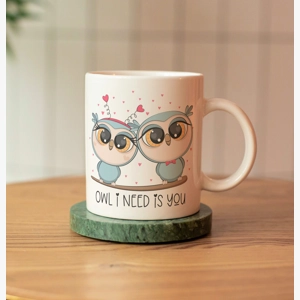 Cute owl couple mug