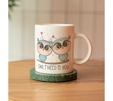 Cute owl couple mug