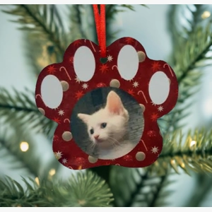 Pet memorial tree decoration