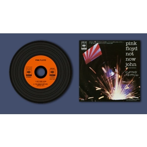 Pink Floyd Not Now John Replica Vinyl CD