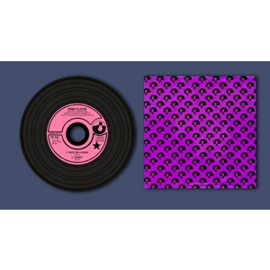 Pink Floyd Pigs On A Wing Replica Vinyl CD