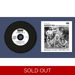 Sweet 2th - The Wigwam-Willy Mix Replica Vinyl CD