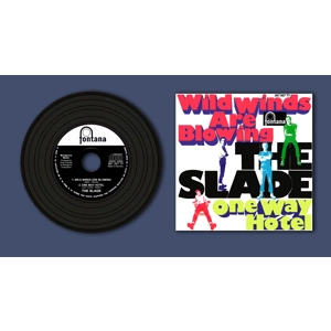 Slade Wild Winds Are Blowing Replica Vinyl CD