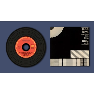 Pink Floyd Your Possible Pasts Replica Vinyl CD