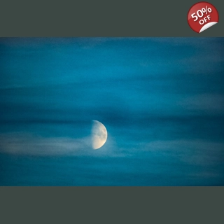 Moonshot