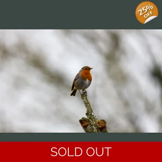 Robin's on Top