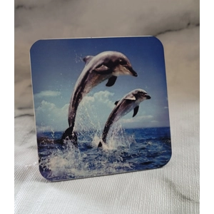 Dolphins Coaster