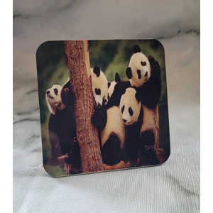 Panda Coaster