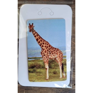 Giraffe Fridge Magnet