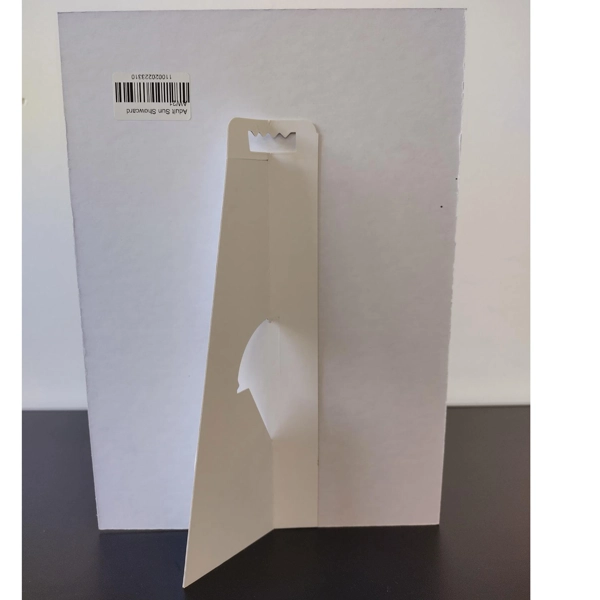 Pepe Jeans Adult Sun Showcard AW21