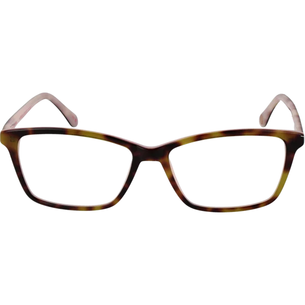 Ted Baker Optical Frame TB9101 222 53