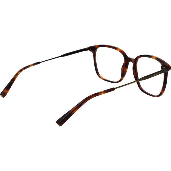 Ted Baker Optical Frame TB8295 407 54